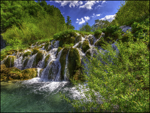 Wodospad, Roślinność, Chorwacja, Park Narodowy Jezior Plitwickich, Drzewa