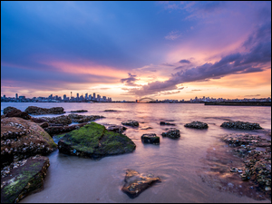 Sydney z skalistym wybrzeżem morza
