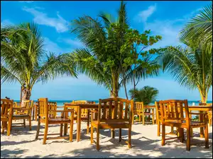Krzesła obok stolików pod palmami na plaży