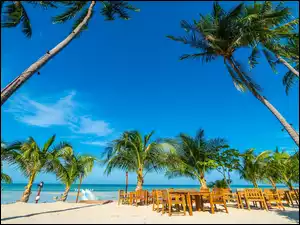 Morska plaża z palmami i krzesłami