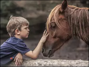 Chłopiec z koniem