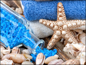 Sól morska z muszelkami i rozgwiazdą