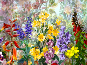 Polne i ogrodowe kwiaty w grafice