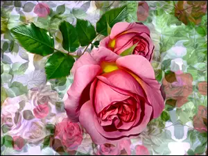 Graficzne różowe róże z listkami