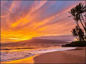 Hawajska plaża o zachodzie słońca