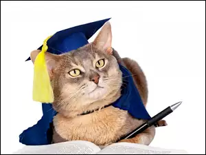 Uczony kot z długopisem