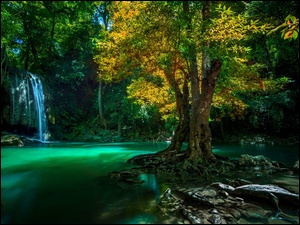 Drzewo, Tajlandia, Rzeka, Wodospad, Park Narodowy Erawan