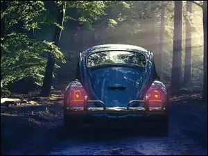 Zabytkowe auto w lesie