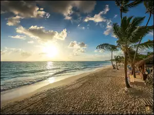 Wschód słońca nad morską plażą z palmami