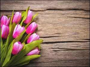 Bukiet tulipanów na deskach