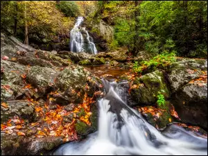 Leśny wodospad z jesiennymi liśćmi