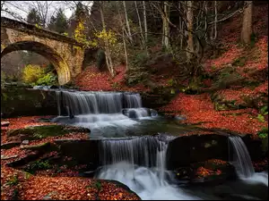 Most z rzeką w jesiennym lesie