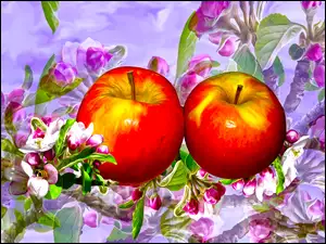 Dwa jabłka graficzne z kwiatami jabłoni
