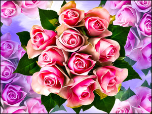 Pąki różowych róż w grafice
