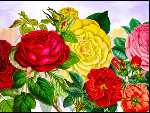 Graficzne kolorowe róże