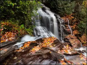 Skalny jesienny wodospad z liśćmi