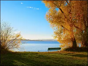 Jezioro z jesiennymi drzewami i ławeczką