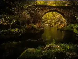 Kamienny most łukowy nad leśną rzeką