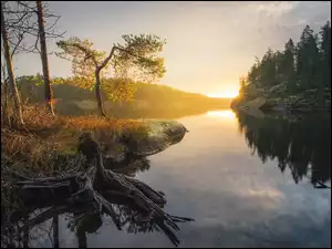 Wschód słońca nad leśnym jeziorem