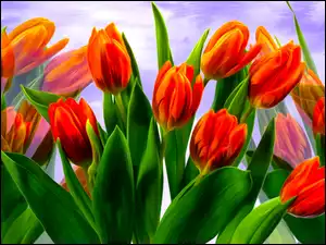 Bukiet czerwono żółtych tulipanów