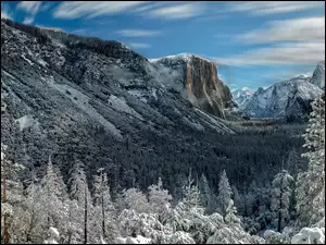 Zima w leśnych górach