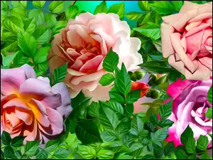 Graficzne cztery róże