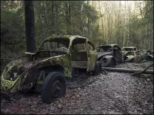 Stare opuszczone samochody w lesie