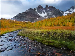 Górski potok jesienią