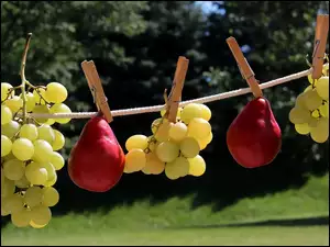 Gruszki i kiście winogron wiszące na sznurku