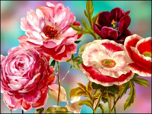 Graficzne kolorowe maki i róże