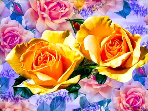 Barwne graficzne róże