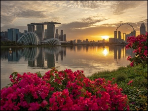 Wieżowce w Singapurze o zachodzie słońca