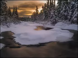 Zachód słońca mad zimową leśną rzeką