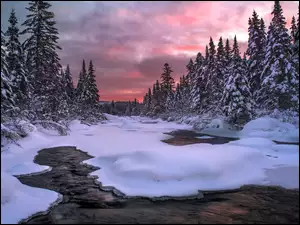 Zachód słońca nad zimową leśną rzeką