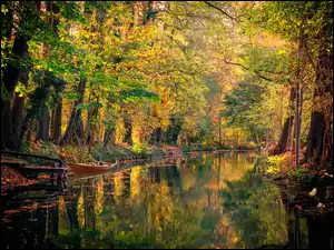 Kanał wodny z jesiennymi drzewami