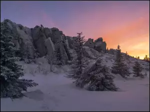 Skały i drzewa na zaśnieżonym wzgórzu