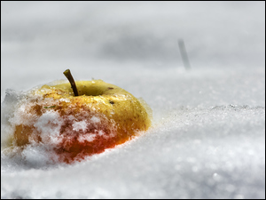 Jabłko, Śnieg