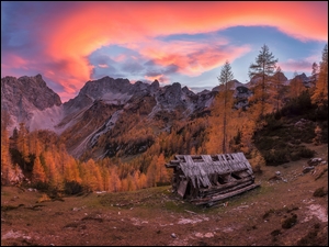 Zniszczona drewniana szopa w Alpach Julijskich
