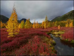 Górska rzeka z jesiennym lasem