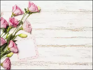 Kolorowe kwiatki z kartką