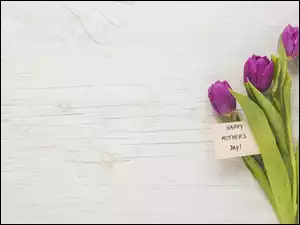 Bukiecik tulipanów z życzeniami dla mamy