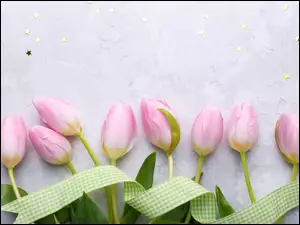 Wstążka na tulipanach