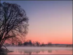 Zachód słońca nad mglistą rzeką z drzewami