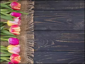 Serwetka z kolorowymi tulipanami
