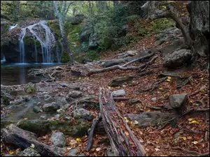 Skalisty wodospad mchem w jesiennym lesie