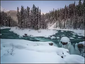 Leśna rzeka w zimie