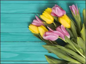 Bukiet różowych i żółtych tulipanów