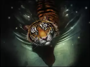 Tygrys pozuje w wodzie