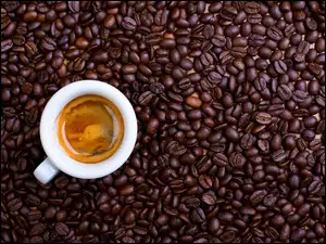 Filiżanka z kawą postawiona na ziarnach kawy