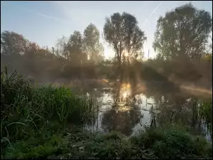 Promienie słońca nad rzeką z drzewami